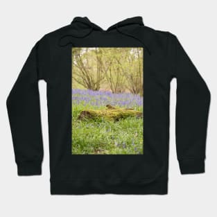 Hillhouse bluebell wood Hoodie